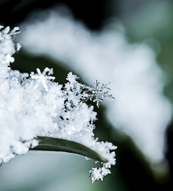 雪花图片