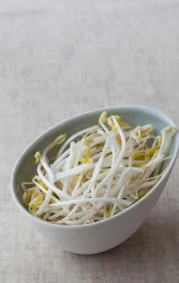 豆芽图片 豆芽图片