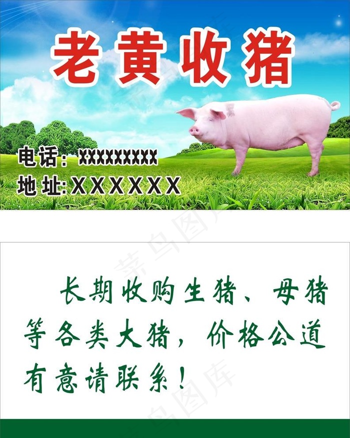 收猪名片图片(210X297)cdr矢量模版下载