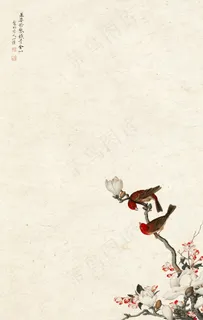 传统工笔画宣纸花卉背景图片 传统工笔画宣纸花卉背景图片