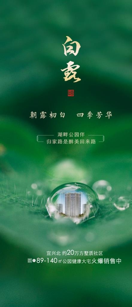 节气海报 白露图片(1125X2436(DPI:96))psd模版下载