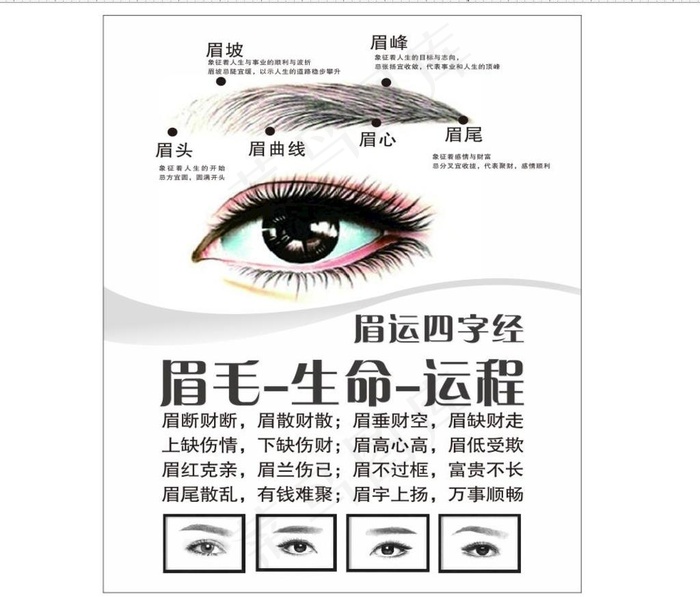 纹绣纹眉海报图片