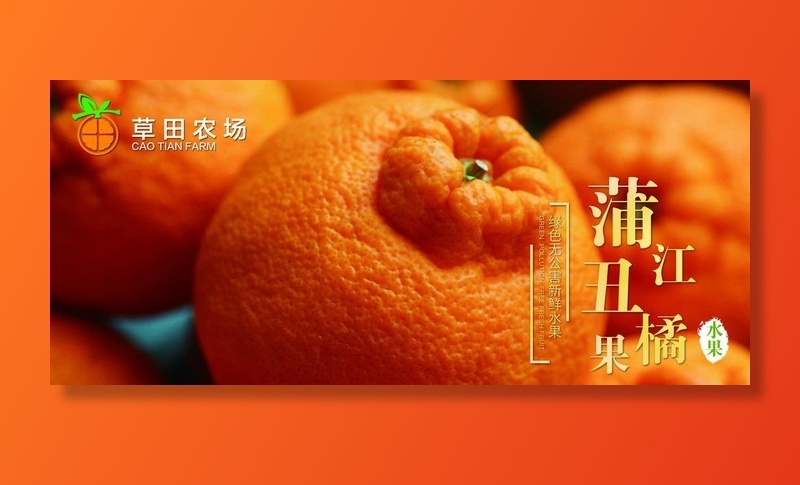 丑橘图片(3402X1587(DPI:72))psd模版下载