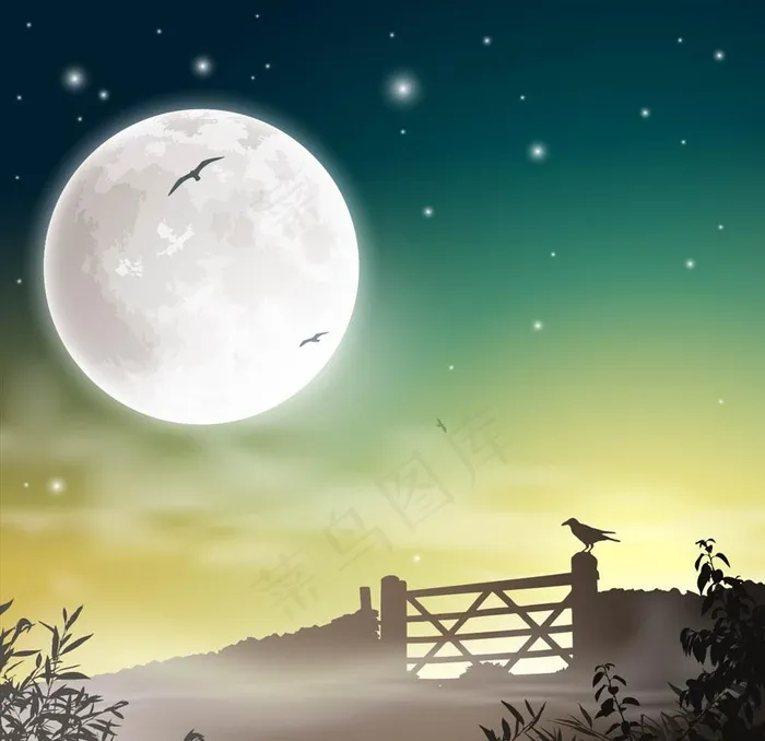 夜景图片ai矢量模版下载