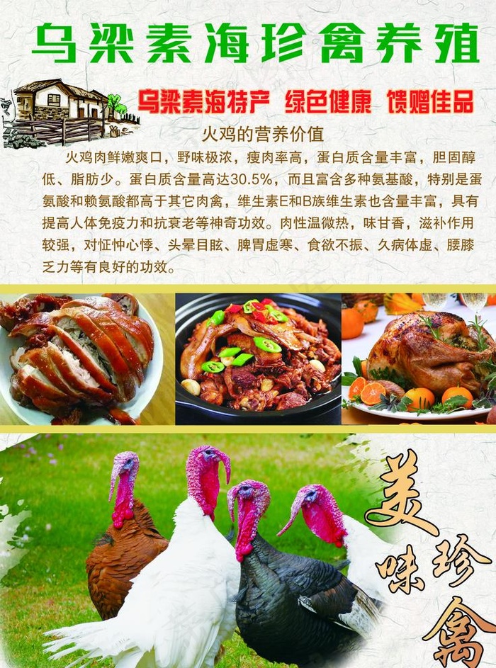 火鸡海报图片