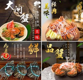 大闸蟹图片