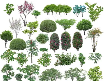 景观效果图素材图片