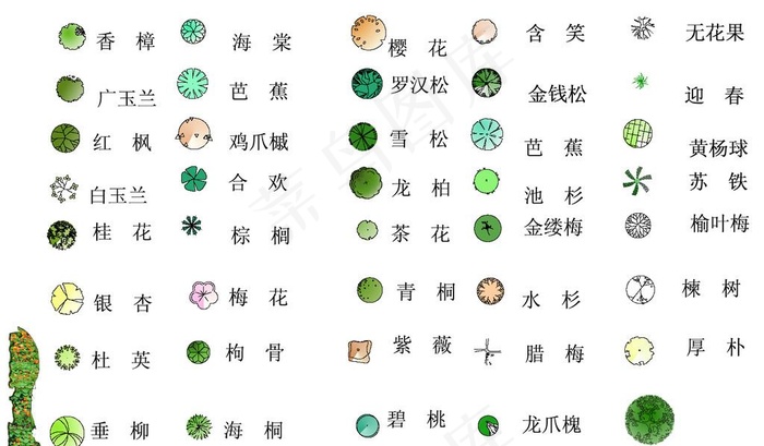 平面植物素材图片psd模版下载
