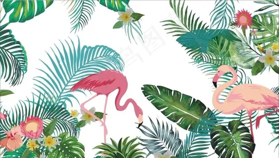 ins风火烈鸟图片