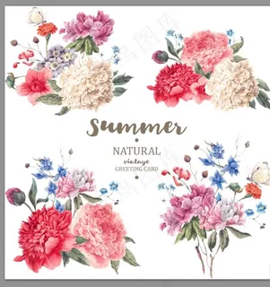 牡丹花开富贵牡丹矢量素材图片 牡丹花开富贵牡丹矢量素材图片