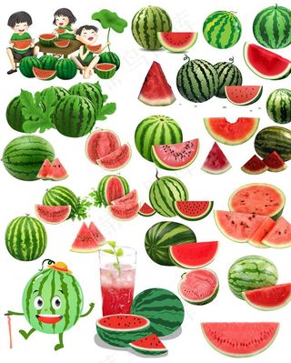 西瓜素材图片