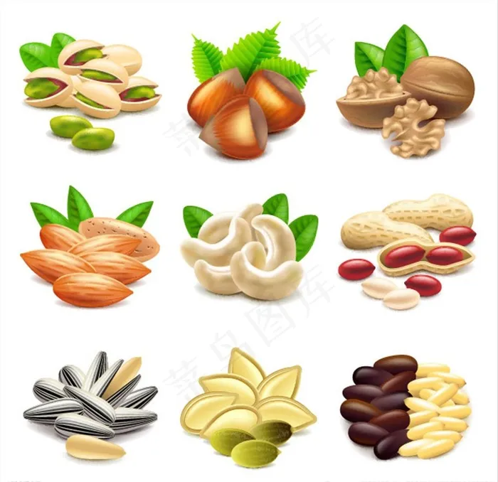 矢量坚果图片eps,ai矢量模版下载