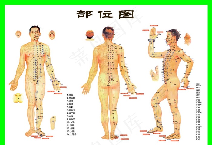 图图片(5512X3937(DPI:200))psd模版下载