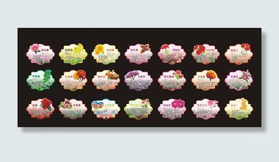 花牌 植物牌 各种花的介绍图片