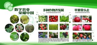 农业展板图片