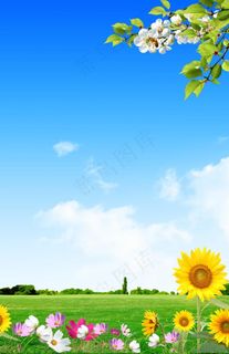 清新风景展板背景图片