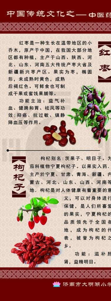 中药展板 中药名称 中药简介图片