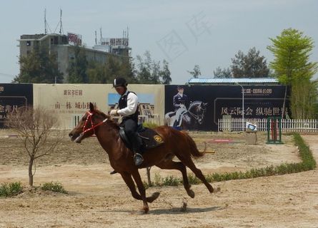 跑马场图片