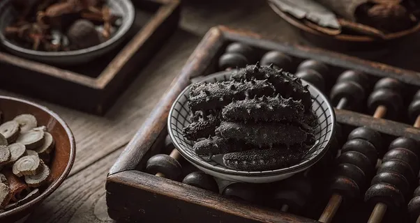 海参图片 海参图片