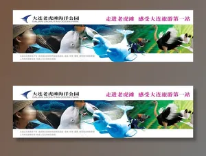 老虎滩图片