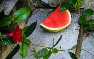 西瓜 西瓜素材 新鲜西瓜 香甜图片