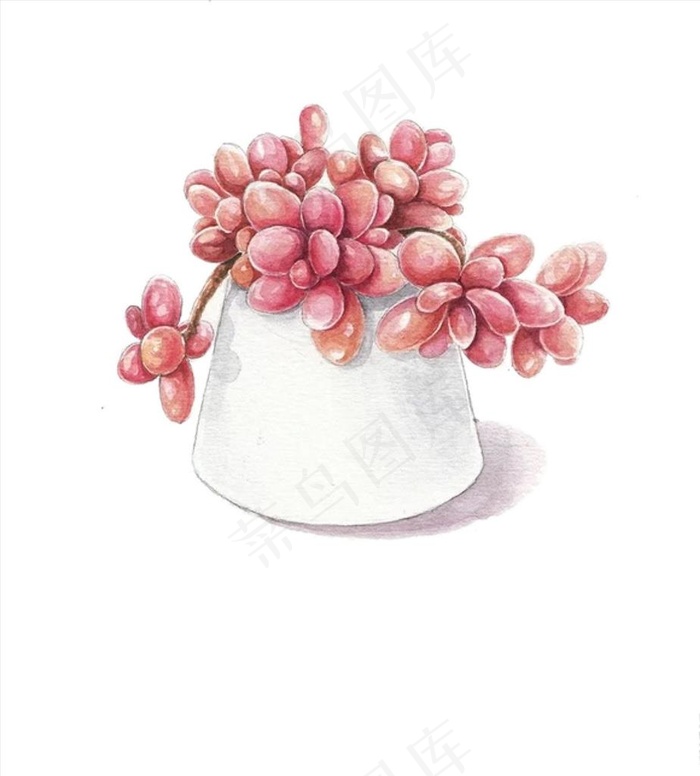 手绘多肉图片