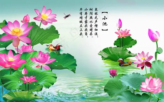 荷花图图片(2551X1665(DPI:300))psd模版下载