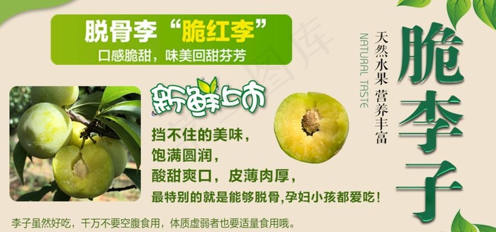 脆李子图片