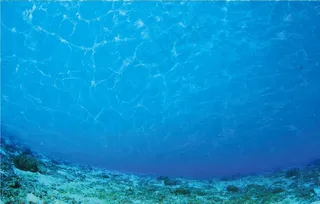 海底背景图片