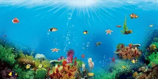 海底世界图片