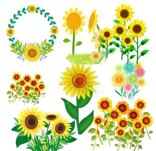 卡通向日葵图片