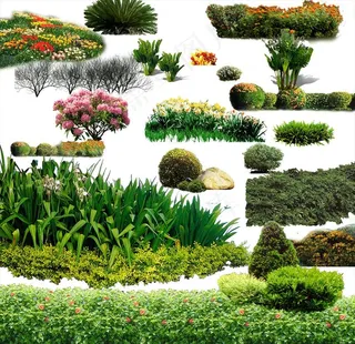 花丛草丛免扣素材图片