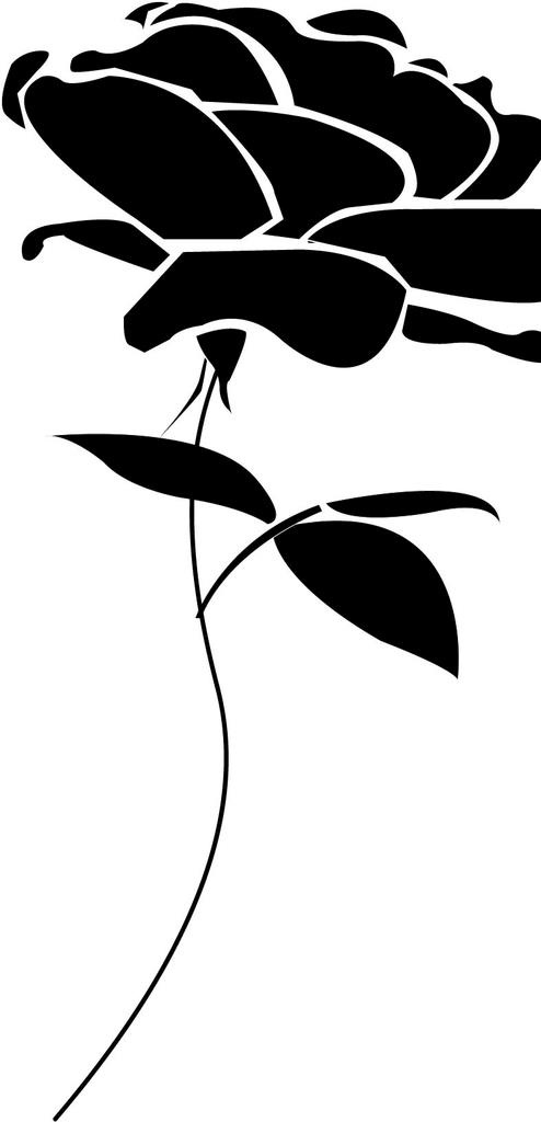 玫瑰素材图片ai矢量模版下载