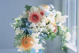 盆栽盆景瓶栽室内外花草图片