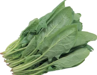 菠菜图片