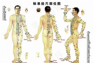 经络图图片