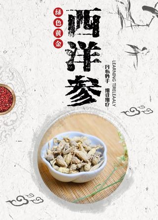 西洋参图片