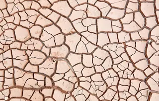 干旱土地图片