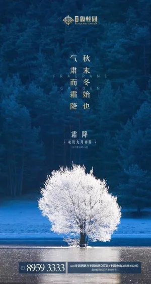 霜降节气 大树图片