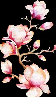 创意花图片 创意花图片