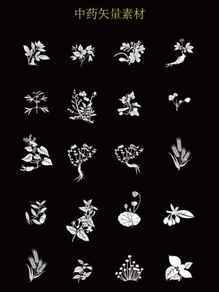 中药矢量素材图片