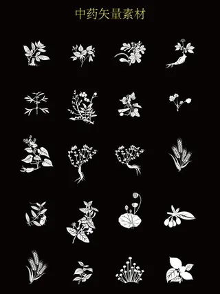 中药矢量素材图片