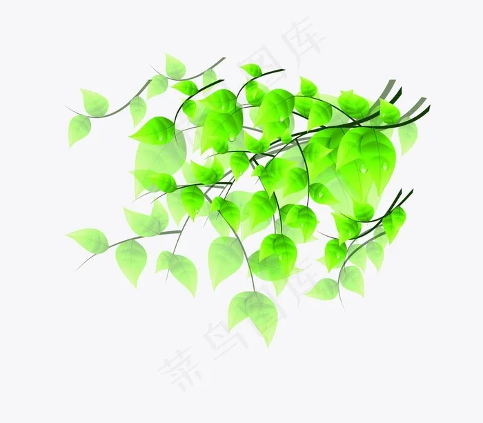 树叶图片psd模版下载