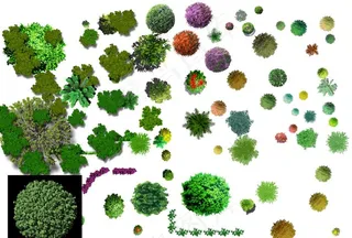 景观设计彩平素材图片