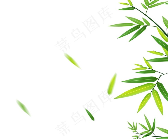 竹子图片