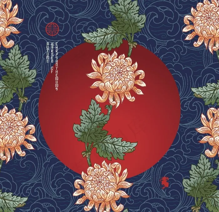 菊花图片eps,ai矢量模版下载