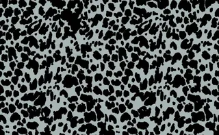 豹纹图片