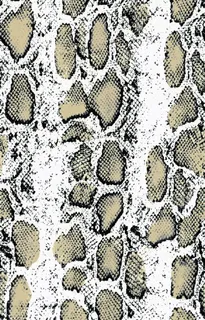 蛇皮图片