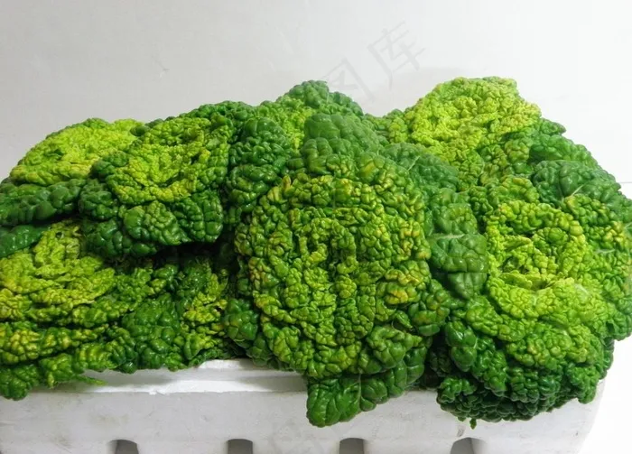 黄心菜图片
