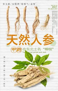 人参海报图片